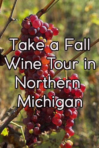 Michigan Fall Wine Tour