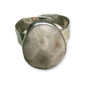 Petoskey Stone Adjustable Ring B