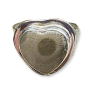 Petoskey Stone Adjustable Ring E