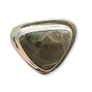 Petoskey Stone Adjustable Ring N