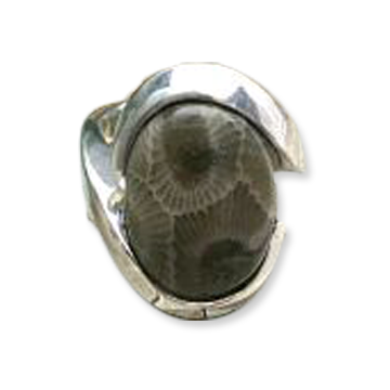 Petoskey Stone Ring D - Size 6