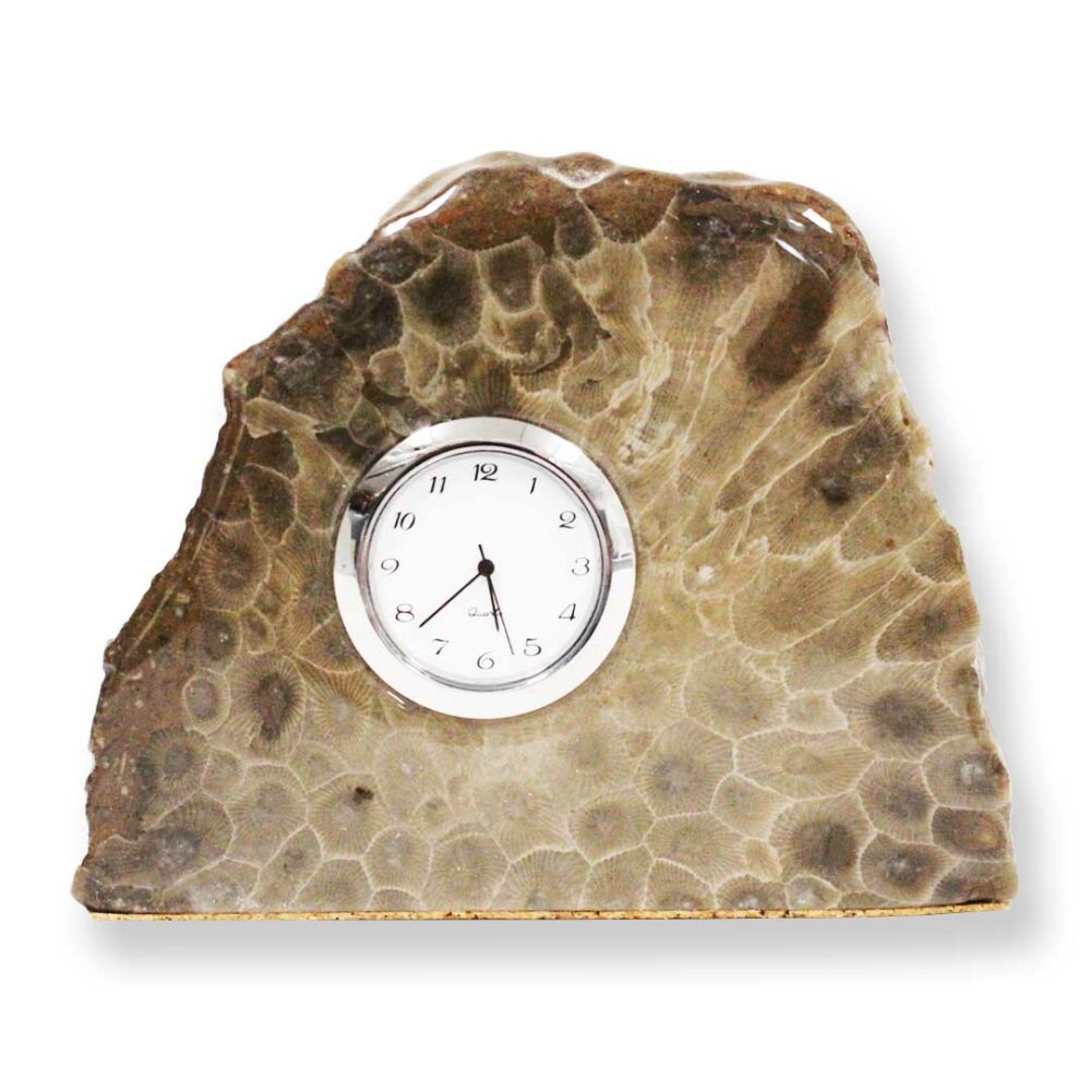 Petoskey Stones | Michigan Gifts - Grandpa Shorter's Gifts