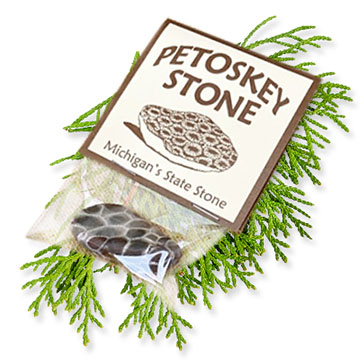 Individually Packaged Petoskey Stone