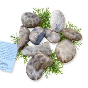 Bag of 10 Assorted Petoskey Stones