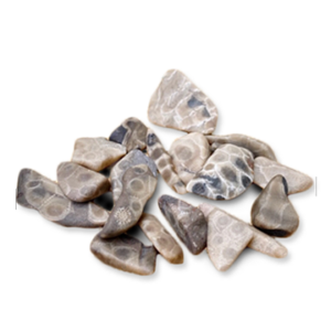 Package of Small Petoskey Stone Chips