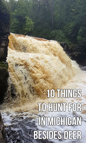 10 Things to Hunt for in Michigan Besides Deer