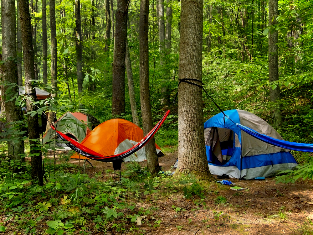 Tips for Choosing a Hammock