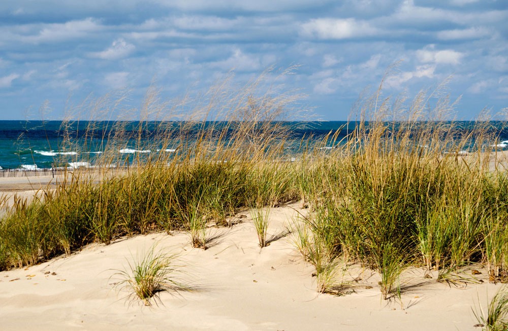 Swimming in the Great Lakes is a great part of living Up North, but swimming smart is the safest way to enjoy this bonus of geography. 