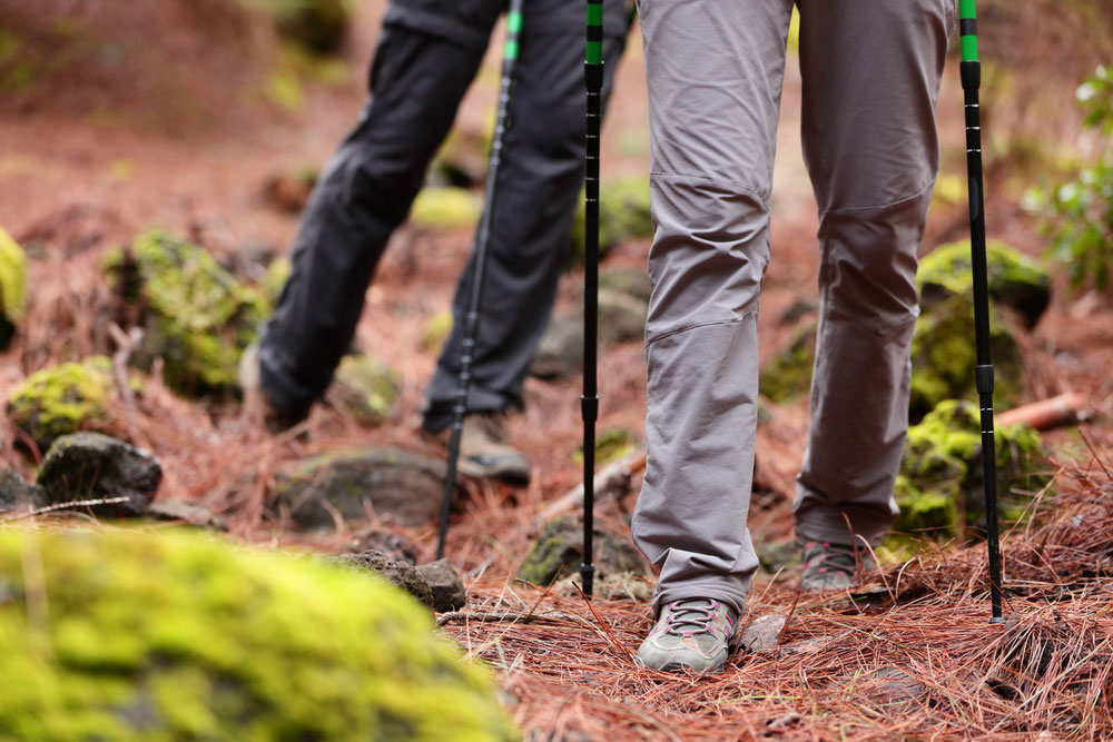 Little Traverse Conservancy Nature Preserves