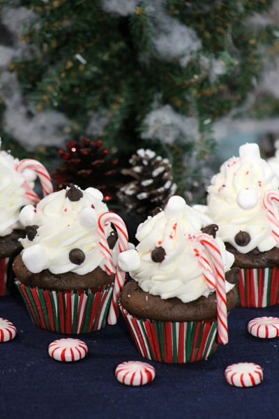 Grandpa Shorter's Hot Cocoa Cupcakes 