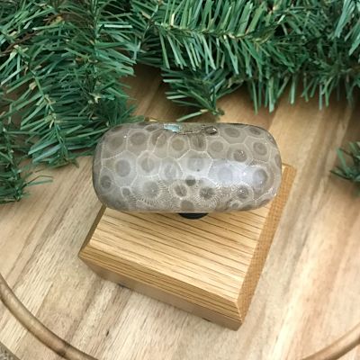 Petoskey Stone Wine Stopper