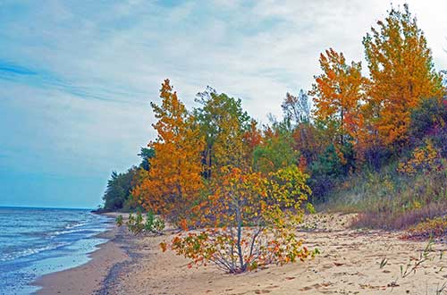 Michigan-Fall-Beach