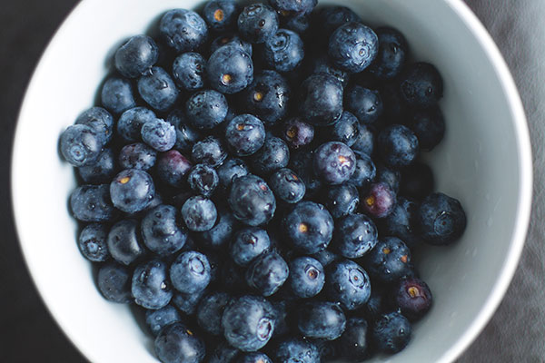 Michigan Blueberries