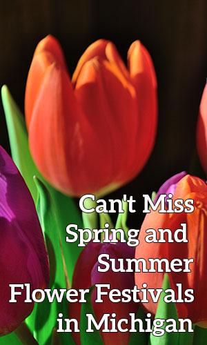 Can't Miss Spring and Summer Flower Festivals in Michigan - Grandpa Shorter's Gifts