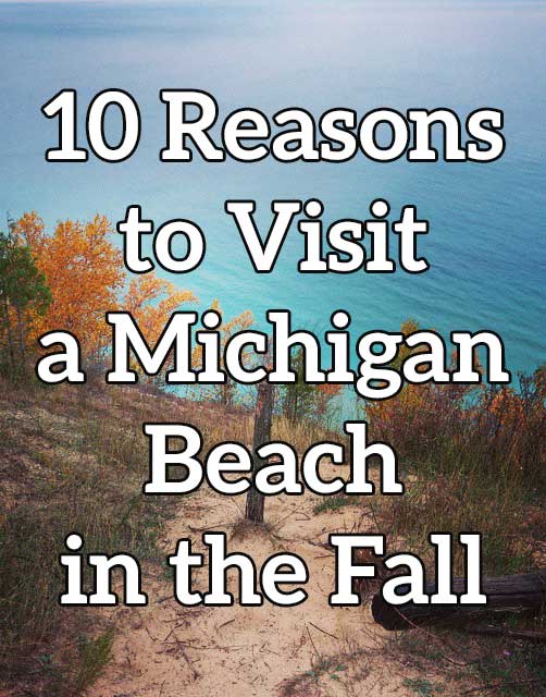 Michigan Beach Fall