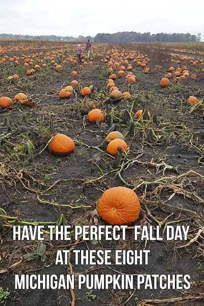 Have the Perfect Fall Day at these Eight Michigan Pumpkin Patches