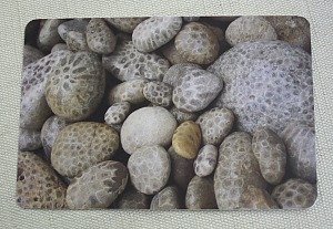 Petoskey Stone Postcard bundles for the perfect wedding day favor! #weddings #Petoskey