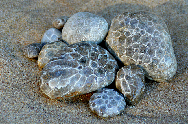 4 Places to Hunt for Petoskey Stones - Grandpa Shorter's Gifts