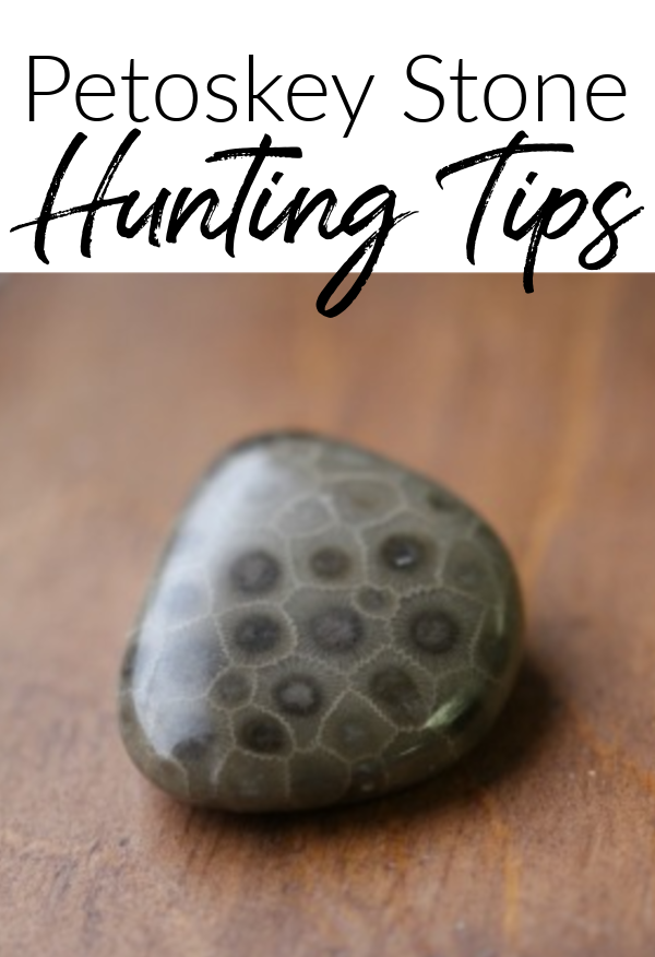 Petoskey stone hunting tips