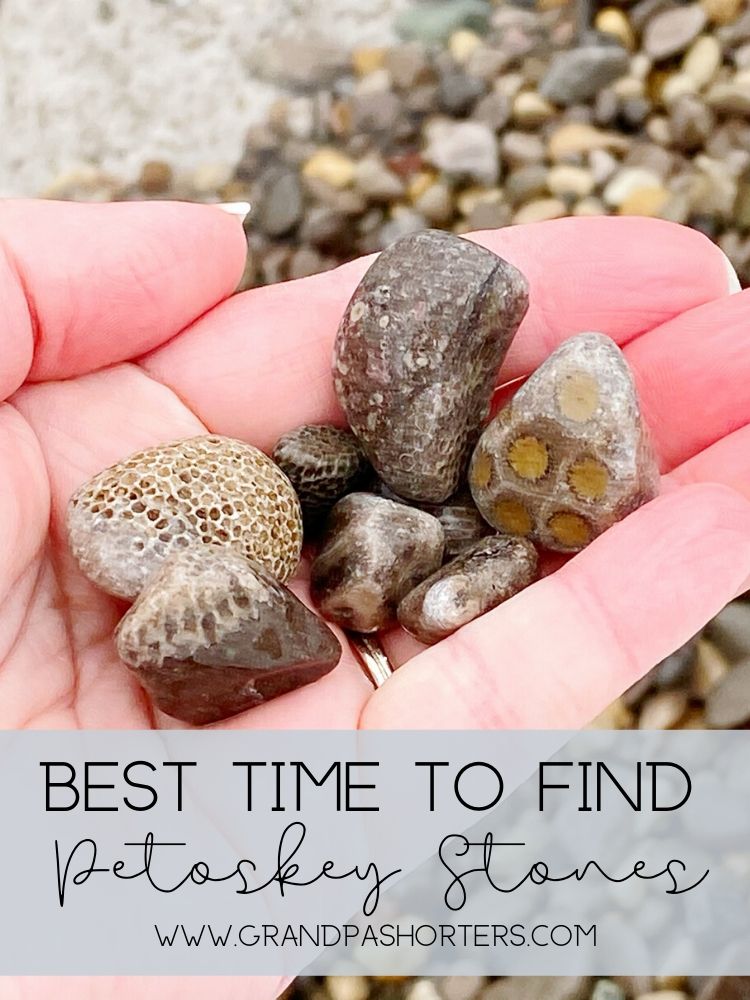 If you plan on visiting Northern Michigan, you'll want to know when is the best time to find Petoskey stones.