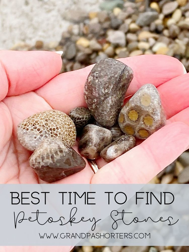 Best Time to Find Petoskey Stones in Petoskey, Michigan.