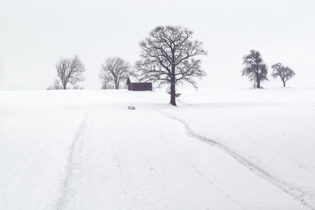 Tips for Winter Driving in Michigan