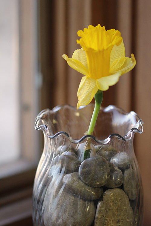 Petoskey Stone Flower Vase - Grandpa Shorter's
