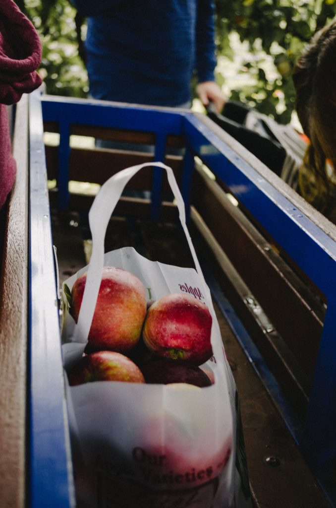 Michigan apples