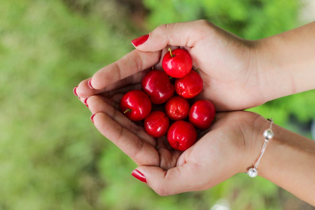 Michigan Cherries