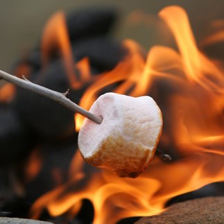 How to roast the perfect marshmallow over a fire #summer #Michigan