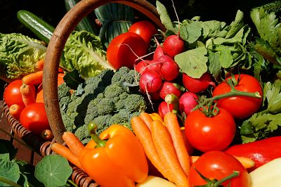 Northern Michigan Farmers Markets