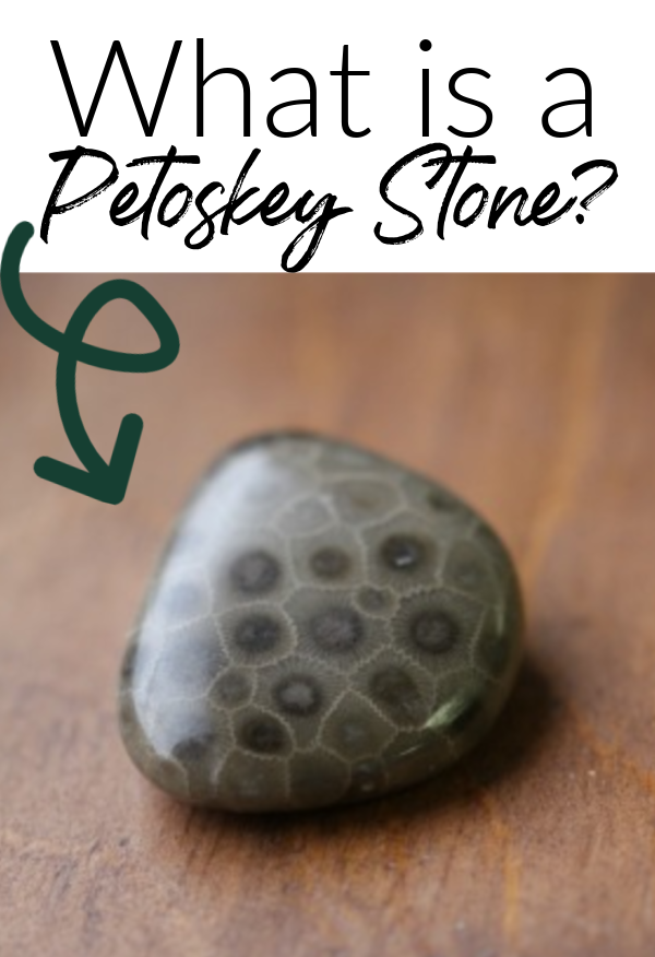 what is a petoskey stone