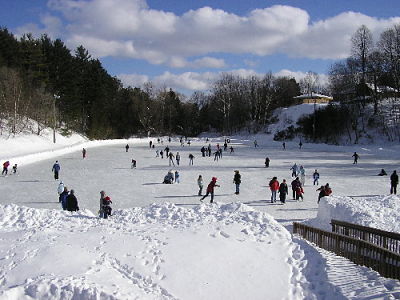 Petoskey's Winter Carnival is held every February at the Petoskey Winter Sports Park, a day filled with fun activities like bumpjumping and a cardboard sledding competition.
