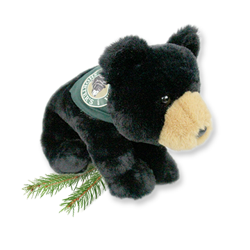 Carlos the Bear Grandpa Shorter's Mascot Black Bear Green Bandana Stuffed Animal