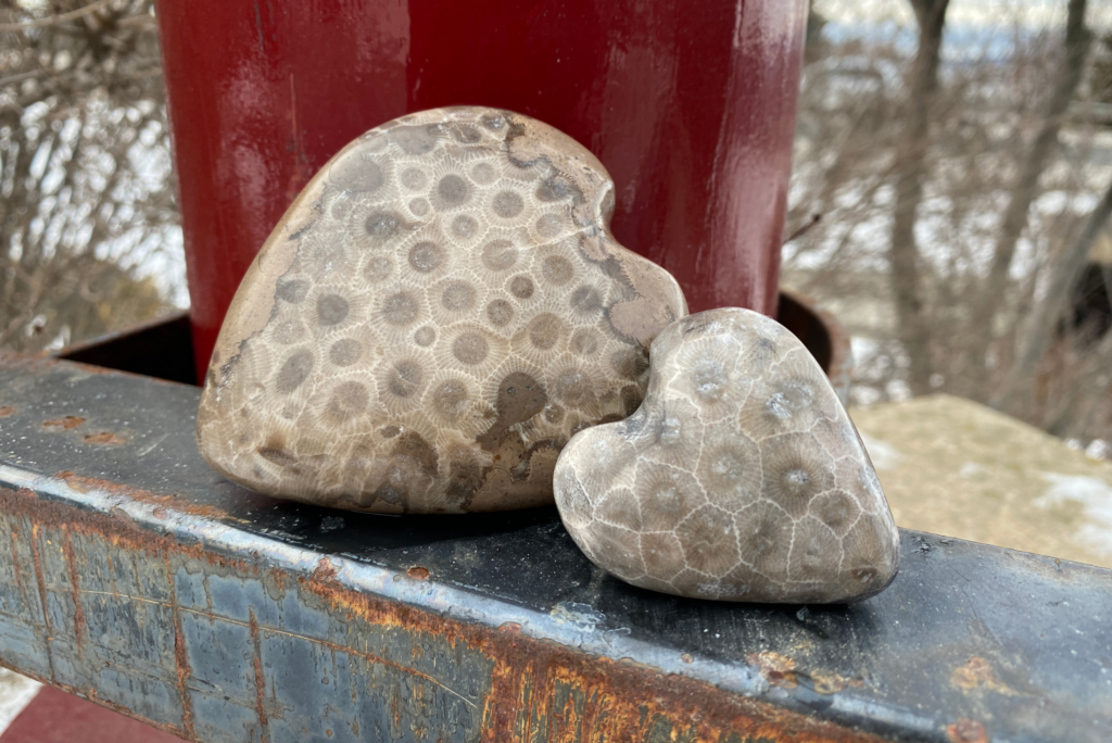 unique polished petoskey stones