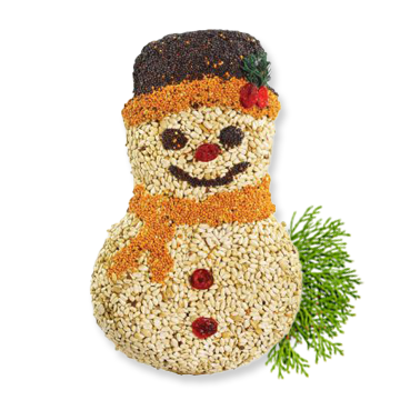 Frosty the Snowman Mr Bird_Grandpa Shorter's Wild bird feeder