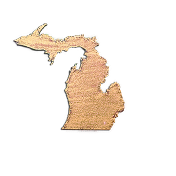 Michigan Magnet - Orange