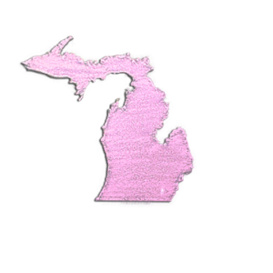 Michigan Magnet - Pink