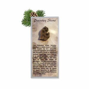 Petoskey Stone Carded Magnet