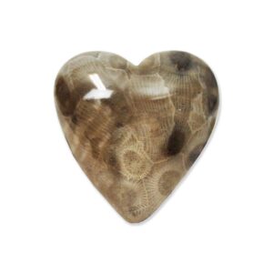 Petoskey Stone Orb Heart Cabinet Knob