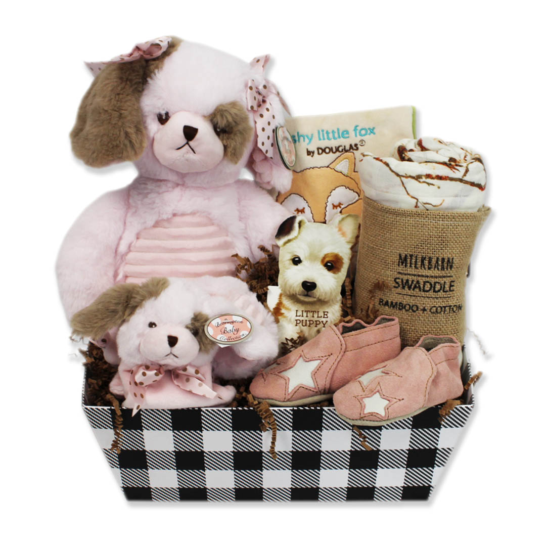 Custom New Baby Girl Gift Basket