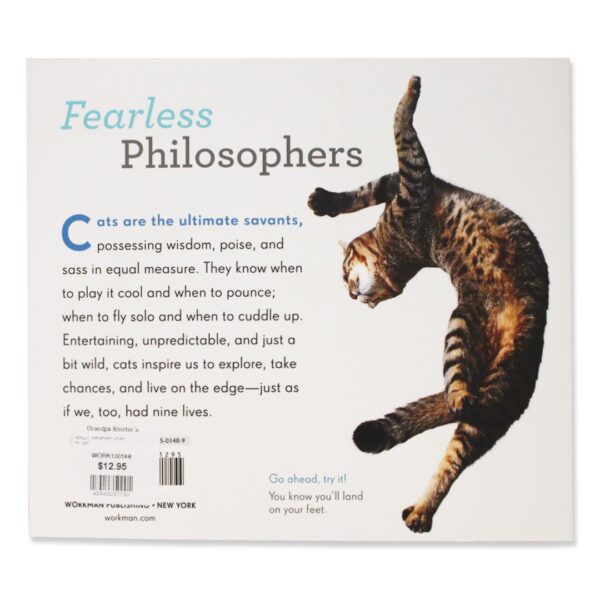 Really Important Stuff My Cat Has Taught Me Book 2