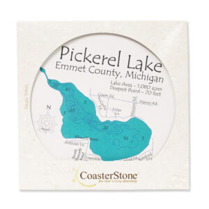 Pickerel Lake Coaster Stone Trivet
