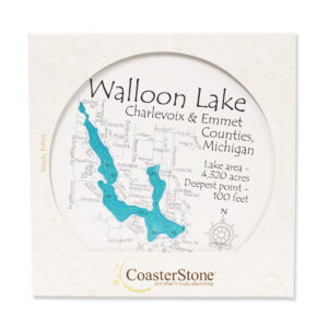 Walloon Lake Coaster Stone Trivet