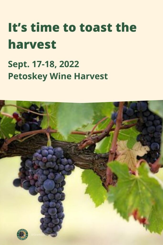 Petoskey Wine Harvest: It's time to Toast the Harvest