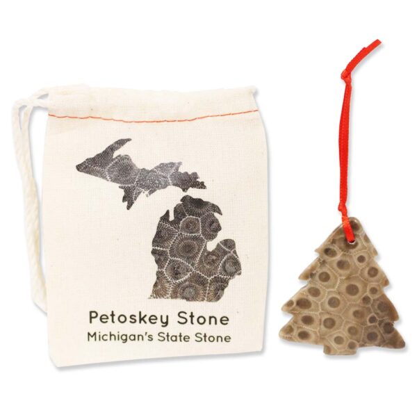 Petoskey Stone Lovers Box 2