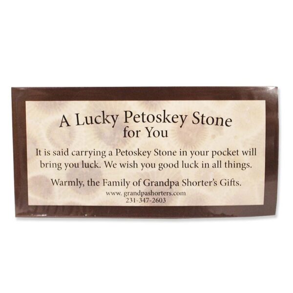 Petoskey Stone Lovers Box 3