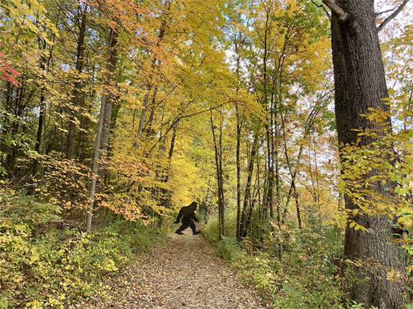 Bigfoot in Petoskey