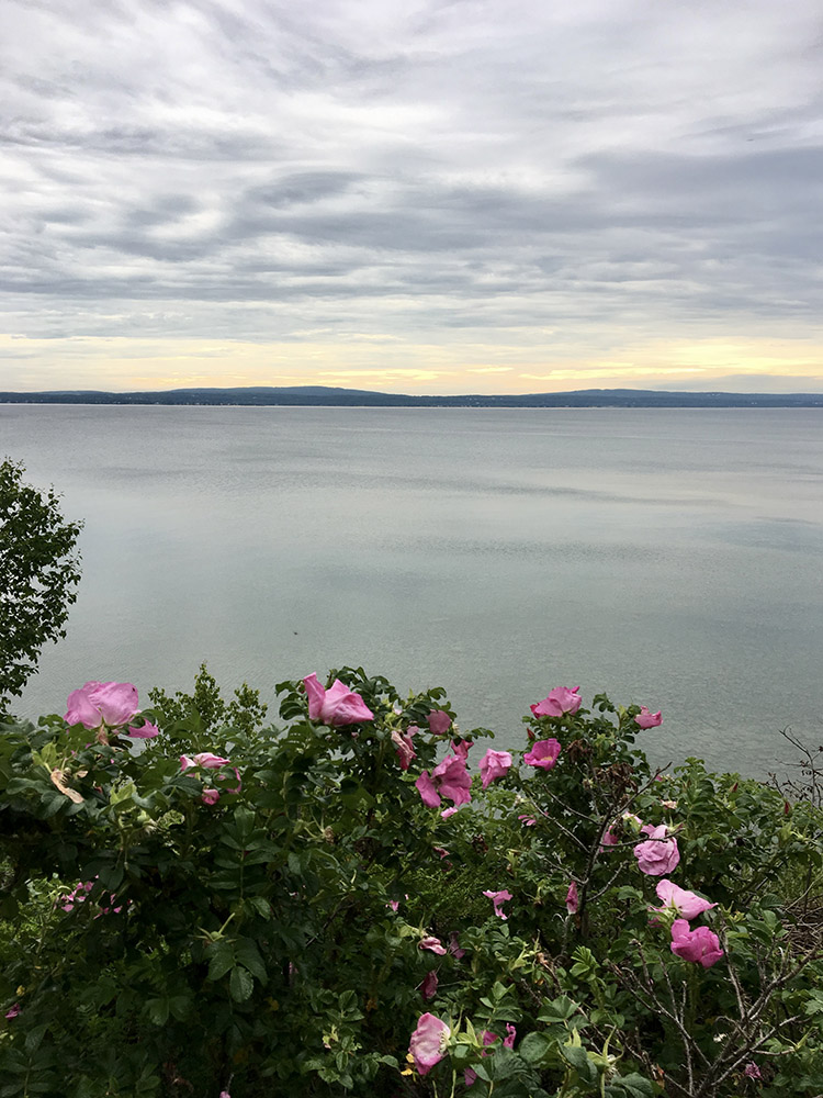 Magnus Overlook, looking out at Little Traverse Bay