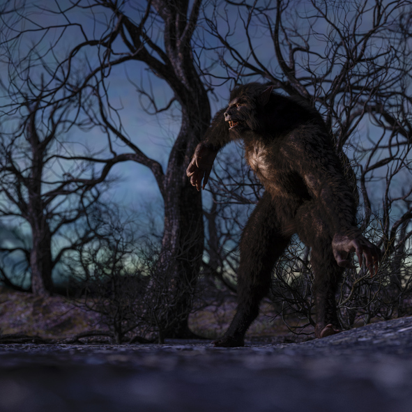 Dogman roaming at night